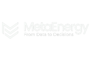 MetaEnergy